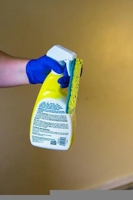 How Much For Inexpensive Cleaning Services  St. Joseph Mo
